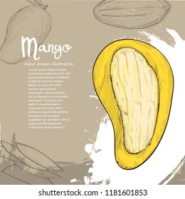 Mango vector illustration on background design. fruit background.