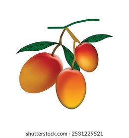 Mango vector illustration picture for print coloring page web and social media use