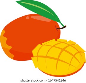 Mango vector illustration, tropical fruit