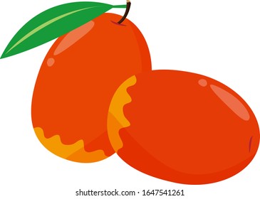 Ilustración vectorial de mango, fruta tropical