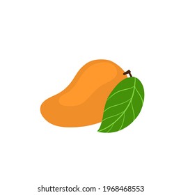 Mango vector illustration. Tropical fruit. Juicy mango in a flat style. Mango and leaf icon. Mango and healthy fruit design in a modern style. Bright vector illustration