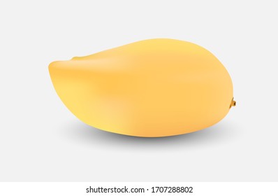 Mango Vector Illustration
For various events
