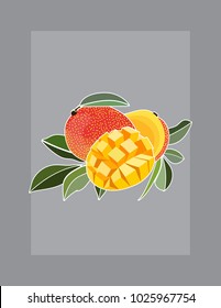 Mango vector illustration with white outline on grey background