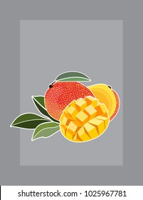 Mango vector illustration with white outline on grey background