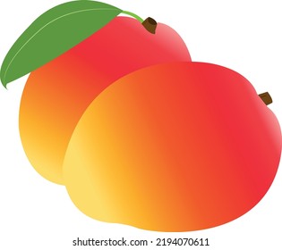 Ilustración vectorial de mango, frutos amarillos y anaranjados