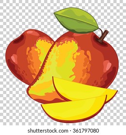 Mango vector isolated on transparent background