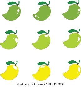 Mango vector on white background