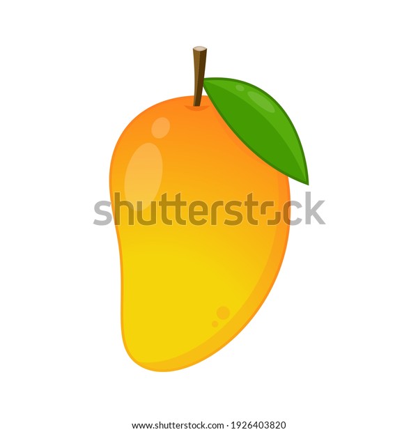 Mango Vector Mango On White Background Stock Vector (Royalty Free ...