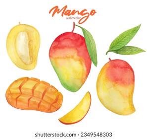 Conjunto de ilustraciones de mango con acuarela