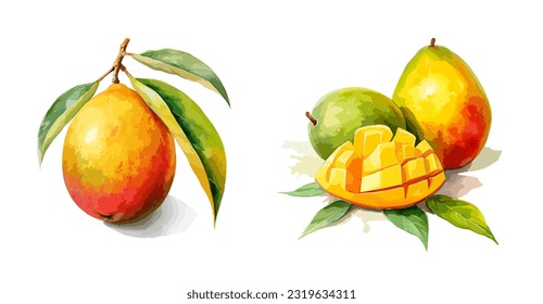 Mango, watercolor painting style illustration. Vector set.