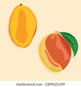 Mango whole and half. Juicy tropical fruits. Fruit vector icons.