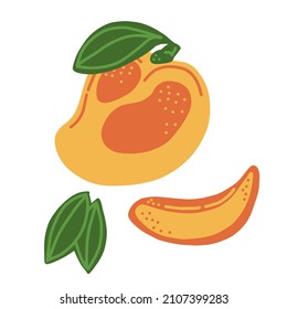Mango. Todo, pieza, hojas de mango. Es bueno para carteles, paquetes, camisetas, postales, bolsas de compras. Dibujo a mano vectora ilustración de caricatura. 