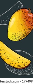 Mango whole and slice. Vector color and monochrome vintage engraving isolated on dark background. Vertical template menu, poster, flyer, banner.