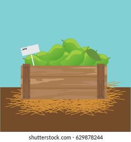 mango in a wooden crate