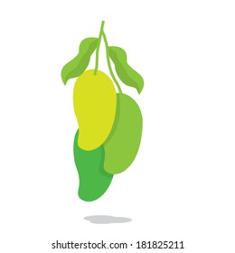 Mangoes Bunch Vector Illustration