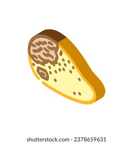 mangoes rotten food isometric icon vector. mangoes rotten food sign. isolated symbol illustration