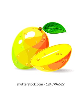 Mangoes whole a piece with leaf and drops of water on white. Vector illustration. No gradients