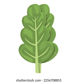 Vector de dibujos animados de iconos de mangold chard. Planta verde. Hoja natural