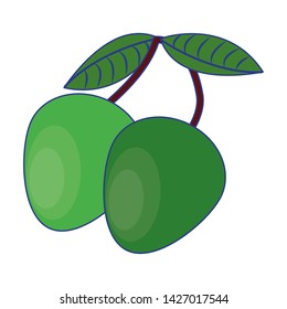 Mangos fresh fruit with leaves cartoon isolated vector illustration graphic design