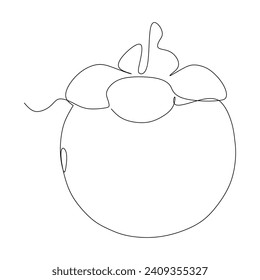 dibujo continuo de línea mangosteen sobre un fondo blanco. ilustración vectorial