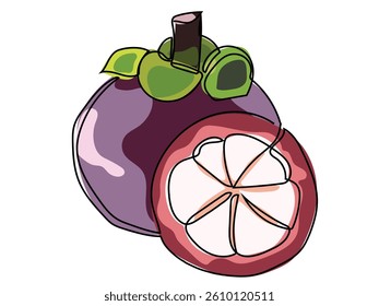 Mangosteen is in a continuous line and drawing on a white background.