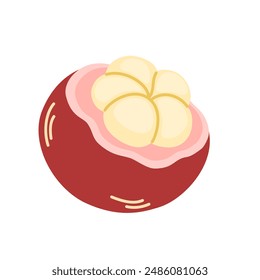 Mangosteen, corta la mitad. Corte transversal de mangostino exótico, pieza con carnosas maduras, arilos. Comida saludable natural vitaminada, comer. Ilustración vectorial plana aislada sobre fondo blanco