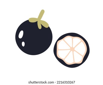 Mangosteen, cortar la mitad y la fruta entera. Sección transversal de mangosteno exótico, pieza con carne madura, arils. Alimentos naturales saludables de vitamina, comida. Ilustración vectorial plana aislada en fondo blanco