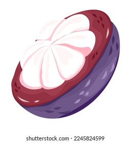 Diseño de Mangosteen ilustración vectorial para enseñanza o diseño web, desain buah manggis 