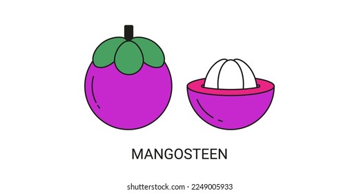 Mangosteen Exotic Fruit Icon Element for Web