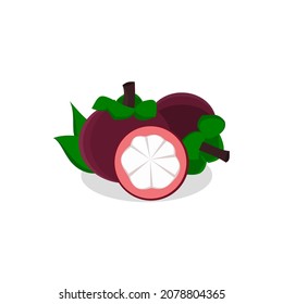 Mangosteen flach Design Vektor. Mangosteen einzeln auf weißem Hintergrund