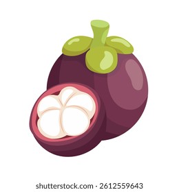 Mangosteen. Flat vector, clipart illustration isolated on white background.