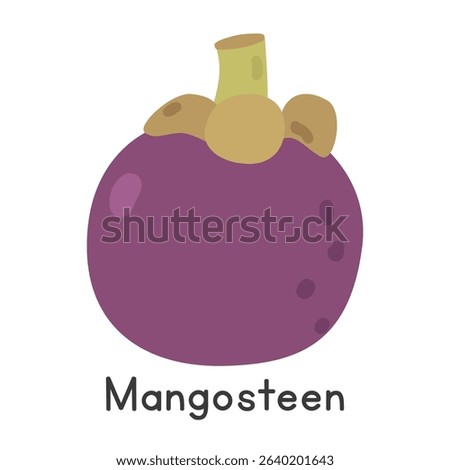 Mangosteen flat vector illustration. Purple mangosteen cartoon clipart style isolated on white background. Tropical and Exotic fruit concept