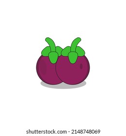 Mangosteen fresh fruit Free Vector