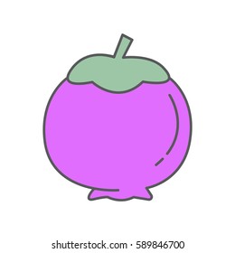 mangosteen fruit