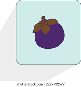 mangosteen fruit, can be used for background