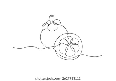 Fruto de mangostán en estilo de dibujo de línea continua. Bosquejo de fruta en líneas negras minimalistas aisladas sobre fondo blanco. Ilustración vectorial