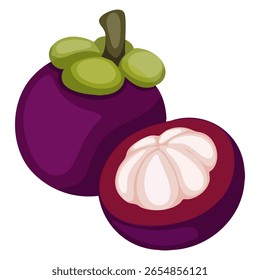 Mangosteen Fruit with Cross-Sectional View