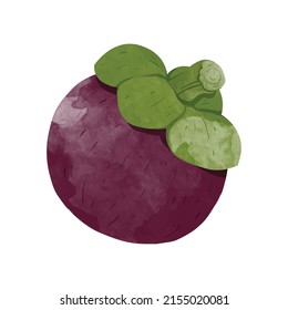 Mangosteen Fruchtdesign Elemente. Vektorgrafik im Aquarellstil.