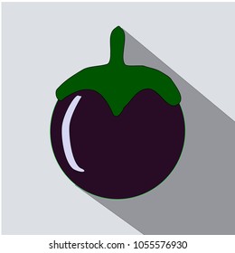 Mangosteen fruit flat icon series.