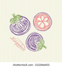 Mangosteen fruit. Hand drawn vector illustration. Pen or marker doodle sketch.
