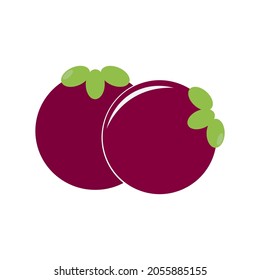 Mangostanfrüchte-Symbol-Logo, Vektordesign