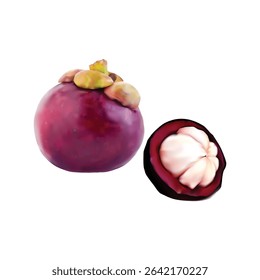 Mangosteen fruit Slice illustration on white backgorund vol 01