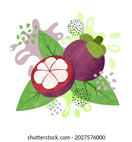 Mangosteen fruit splash design. Vector watercolor illustration of fruits and leaves