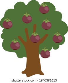 Mangosteen Fruit Tree Vector Illustration isolated in white background
