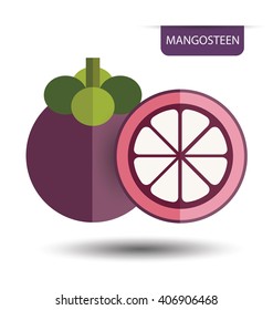 Mangosteen, fruit vector illustration