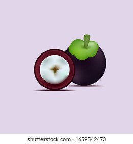 mangosteen fruit vector  illustration background