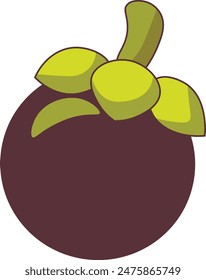 mangosteen fruit vector made in Cirebon, 15 July 2024