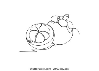 Mangosteen. Fruits concept. Single line draw design. Vector graphic illustration