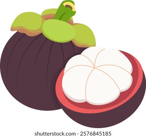 Mangosteen Fruits with Peeled Illustration Isolated on White Background	