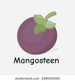 Mangosteen Hand Drawn Illustration on White Background